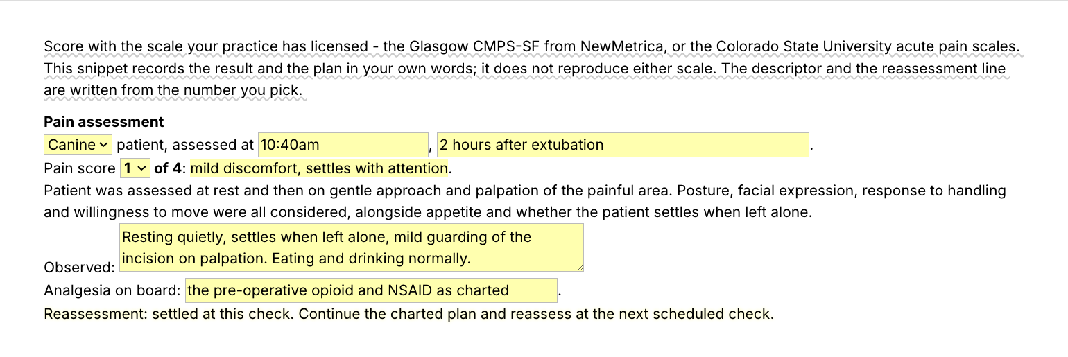 Text Blaze pop-up for the /pain template: species menu, time and stage fields, a 0 to 4 score menu that writes the descriptor, observed and analgesia fields, and a reassessment line