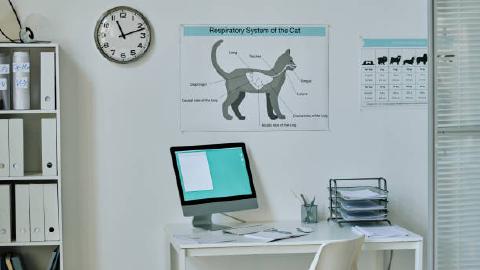 Featured Image for How Text Blaze Helped State Road Animal Hospital Save Over 1,000 Hours
